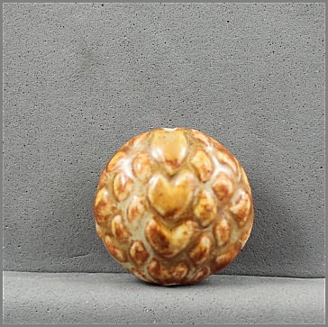 Turtle Shell Lentil